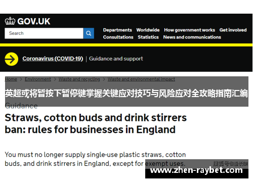 英超或将暂按下暂停键掌握关键应对技巧与风险应对全攻略指南汇编