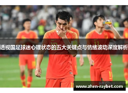 透视国足球迷心理状态的五大关键点与情绪波动深度解析