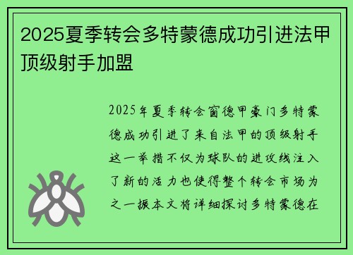 2025夏季转会多特蒙德成功引进法甲顶级射手加盟